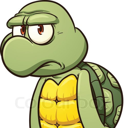 grumpy-turtle-head-01